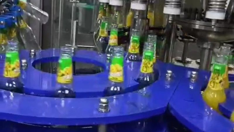 冻干机与喷雾干燥机：成本考量背后的技术差异**